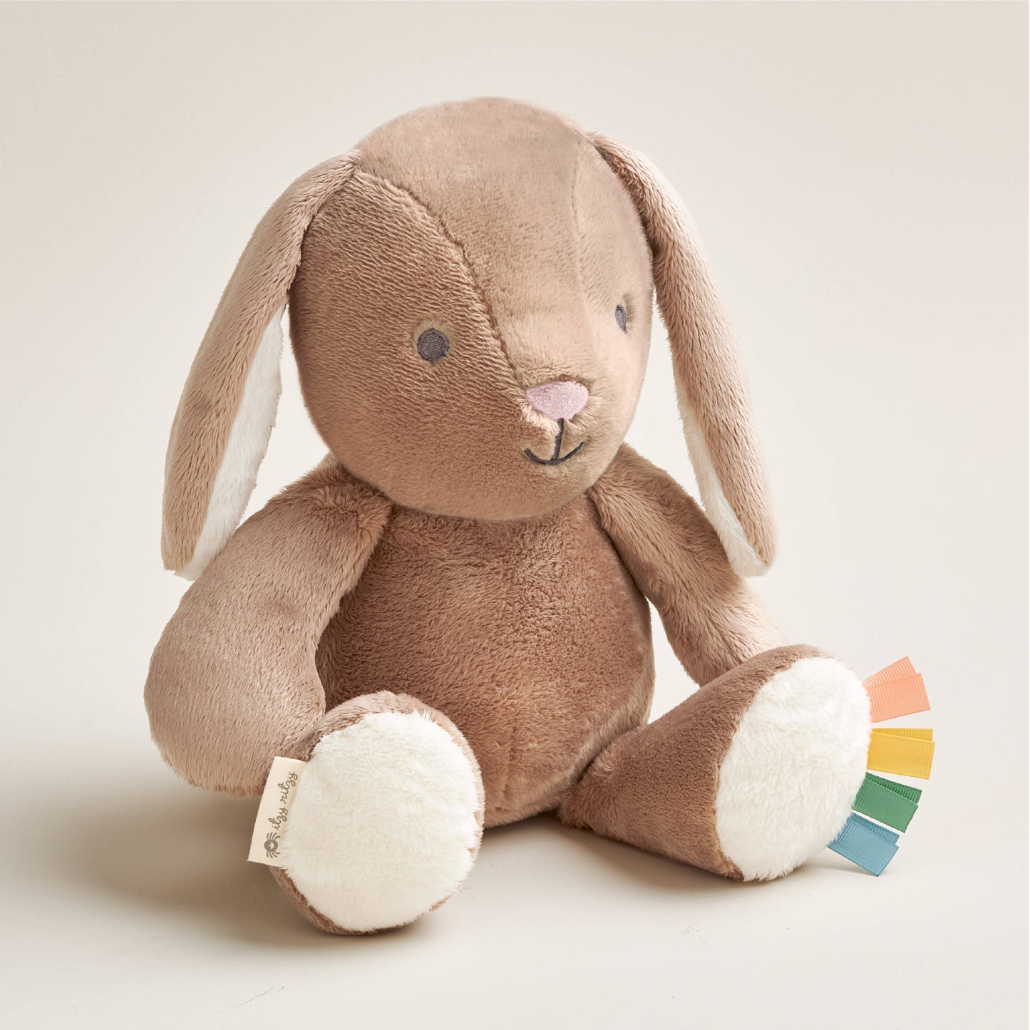 *NEW* Sweetie Snuggles™ Plush: Octopus