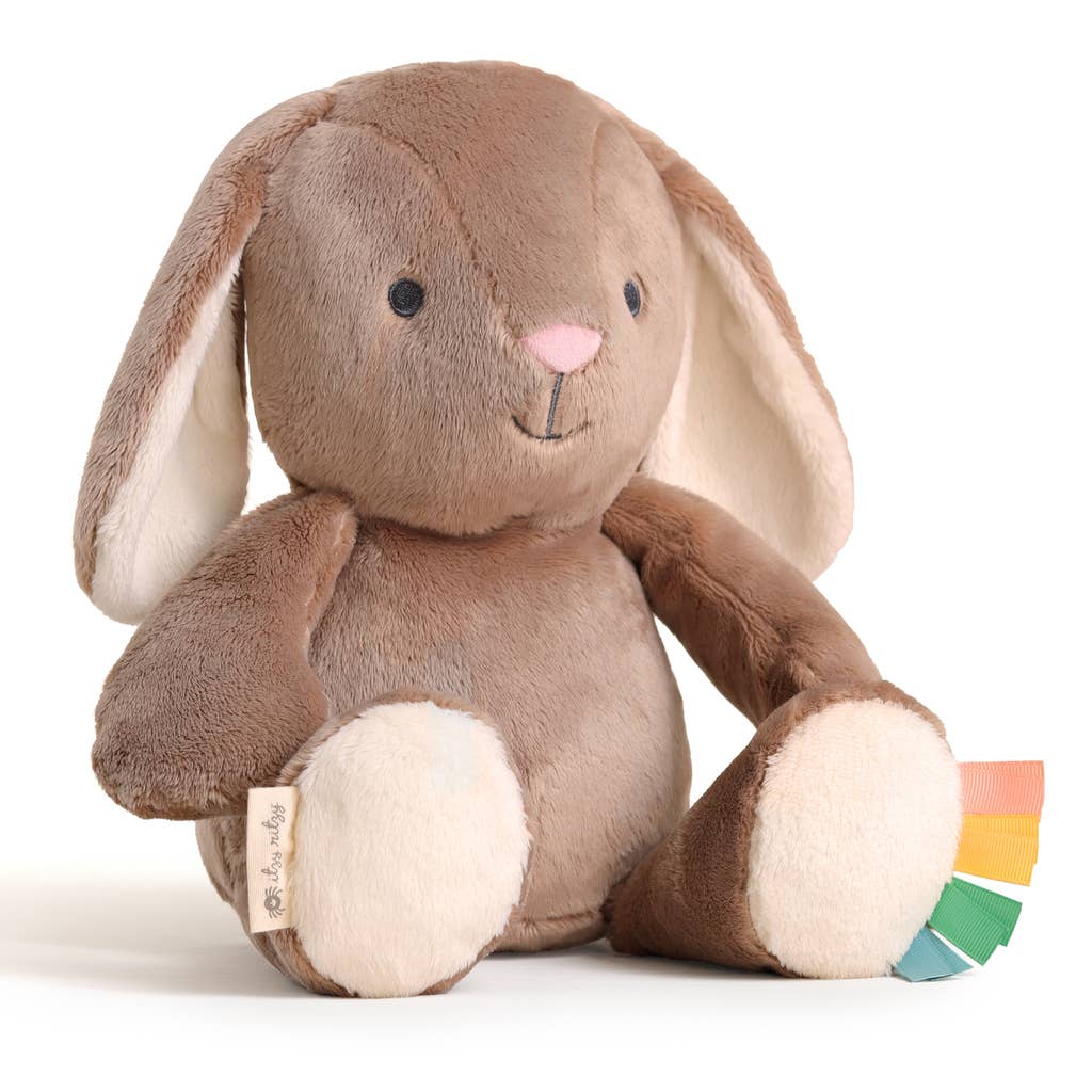 *NEW* Sweetie Snuggles™ Plush: Bear