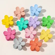 Assorted $5 Hair Clips