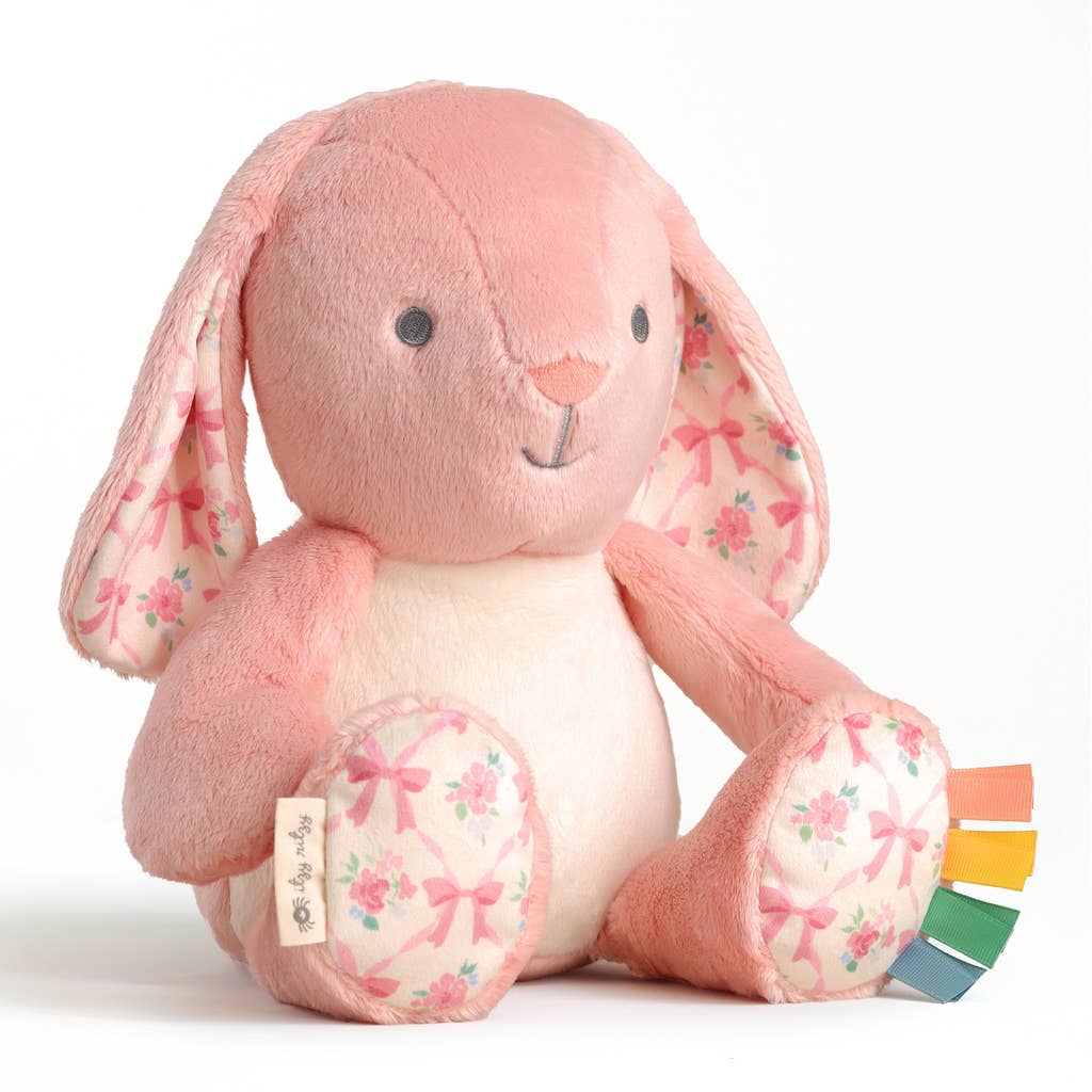 *NEW* Sweetie Snuggles™ Plush: Bear